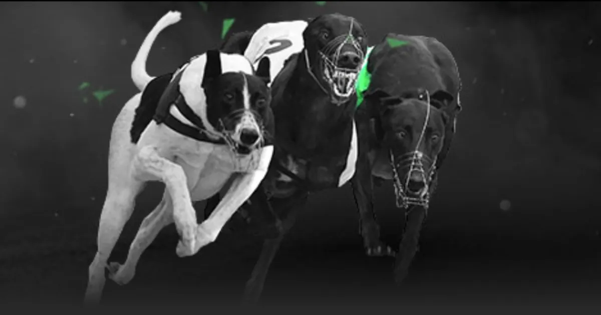 库里回归赛,场遭遇开局,尴尬,乐彩,乐彩体育,LeCai,乐彩体育官网